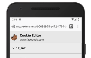 Cookie-Editor screenshot 2