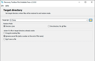 Selection of the output location, restoration mode and other recovery options