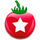 TeamViz Lite icon