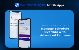 Callgoose SQIBS screenshot 3