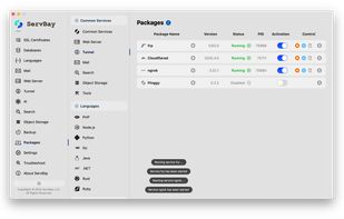 reverse proxy