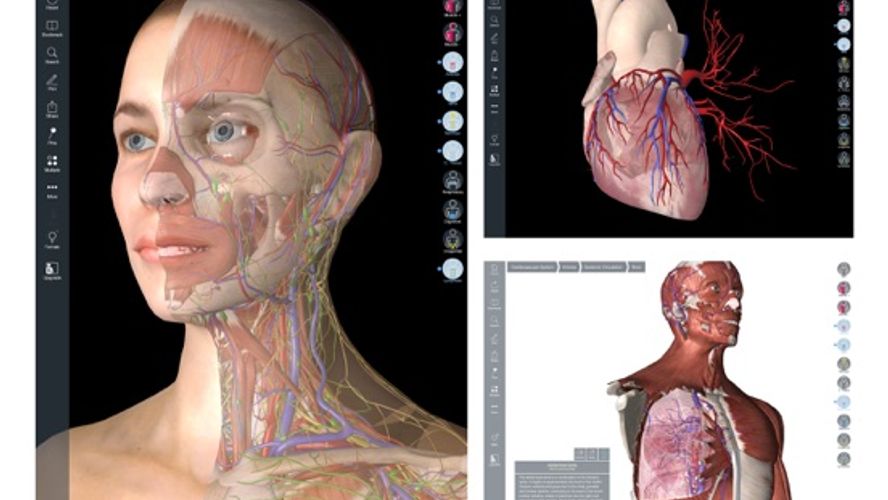 Essential Anatomy 5: With Over 8,200 Structures, Our Highly Accurate ...