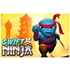 Swift Ninja icon