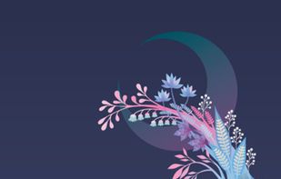 Picross Luna screenshot 1