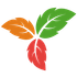 TriliumDroid icon