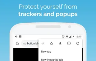Kiwi Browser screenshot 1