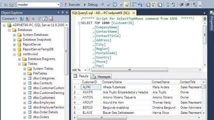 Microsoft SQL Server screenshot 1