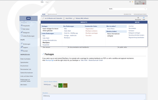 Layout of BlueSpice for MediaWiki