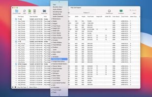 Files List Export screenshot 1