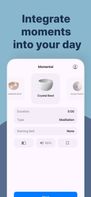 Momental screenshot 2