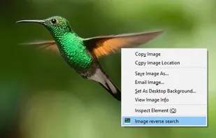 Reverse Image Search screenshot 1