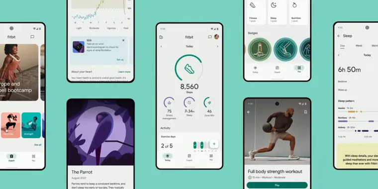 Fitbit introduces AI features for personalized coaching and in-depth fitness insights image