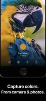 Cone Color Picker &amp; Identifier screenshot 1