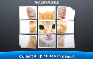 Sliding Photo Puzzle screenshot 1