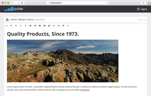 Pulse CMS screenshot 3