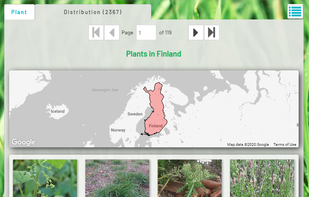 anyPlant screenshot 3