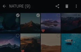 Nothing Gallery (Unofficial) screenshot 3