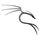 Kali Linux icon