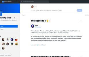 P2 screenshot 1