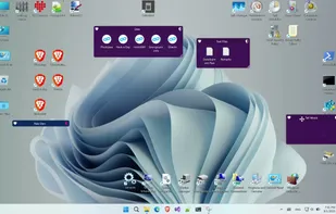 Desktop Fences+ screenshot 1