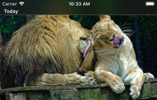 Feeds - All the Web, One Feed screenshot 1