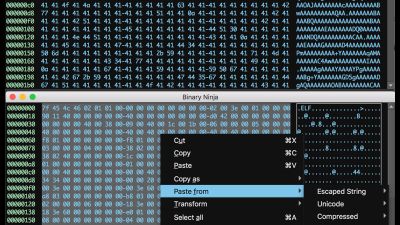 Hex editor includes a number of convenient helpers for transforming and copying/pasting data in various formats.
