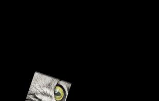 Lighter Simulator Concert Mode screenshot 2