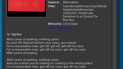 Sonata showing extended information on the song including lyrics.