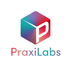 PraxiLabs icon