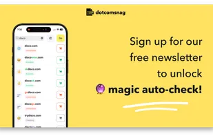 dotcomsnag screenshot 2