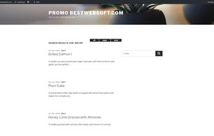 Custom Search WordPress Plugin screenshot 3