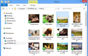 Boxifier screenshot 1