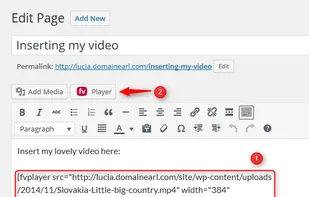 FV Player screenshot 3