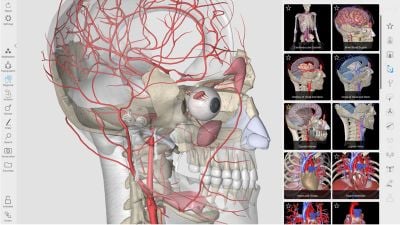 3D Organon Anatomy screenshot 1