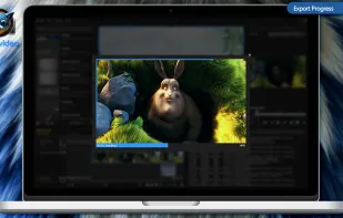 wide.video screenshot 2