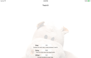 Transcription Helper screenshot 2