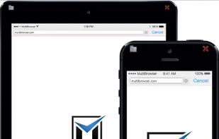 MultiBrowser screenshot 2