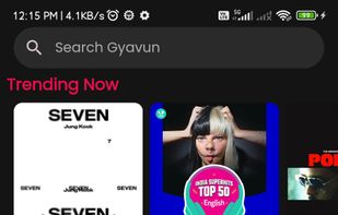 Gyawun screenshot 1