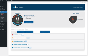SEOKEY SEO Audit