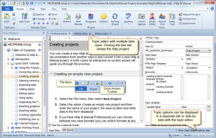 Help+Manual screenshot 2