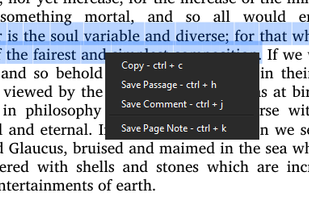 Minimal eReader screenshot 2