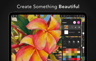 Paintrix Studio screenshot 1