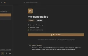 Vault - Viewing a Share