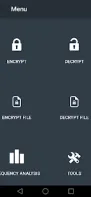 Decrypto screenshot 2