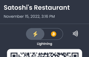 Swiss Bitcoin Pay screenshot 1