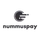 Nummuspay.com icon