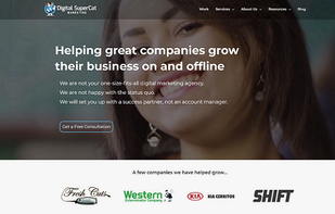 Digital SuperCat screenshot 1