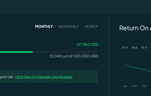 Budget Overview & ROAS