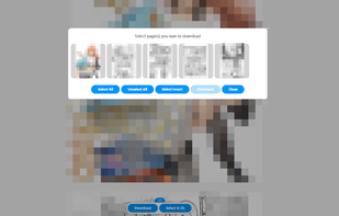 Pixiv Toolkit screenshot 1