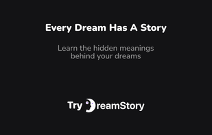 DreamStory screenshot 1